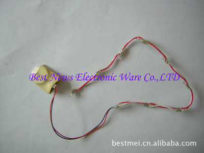 深圳特力電器 專(zhuān)業(yè)供應(yīng)發(fā)光燈串、發(fā)光衣服燈與閃光鞋燈