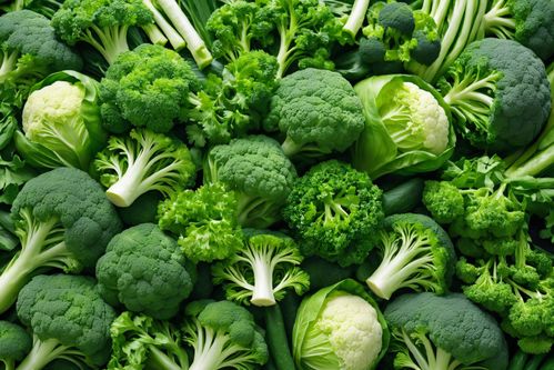 綠色食品新鮮蔬菜創意海報 從攝影到源頭批發的一站式指南