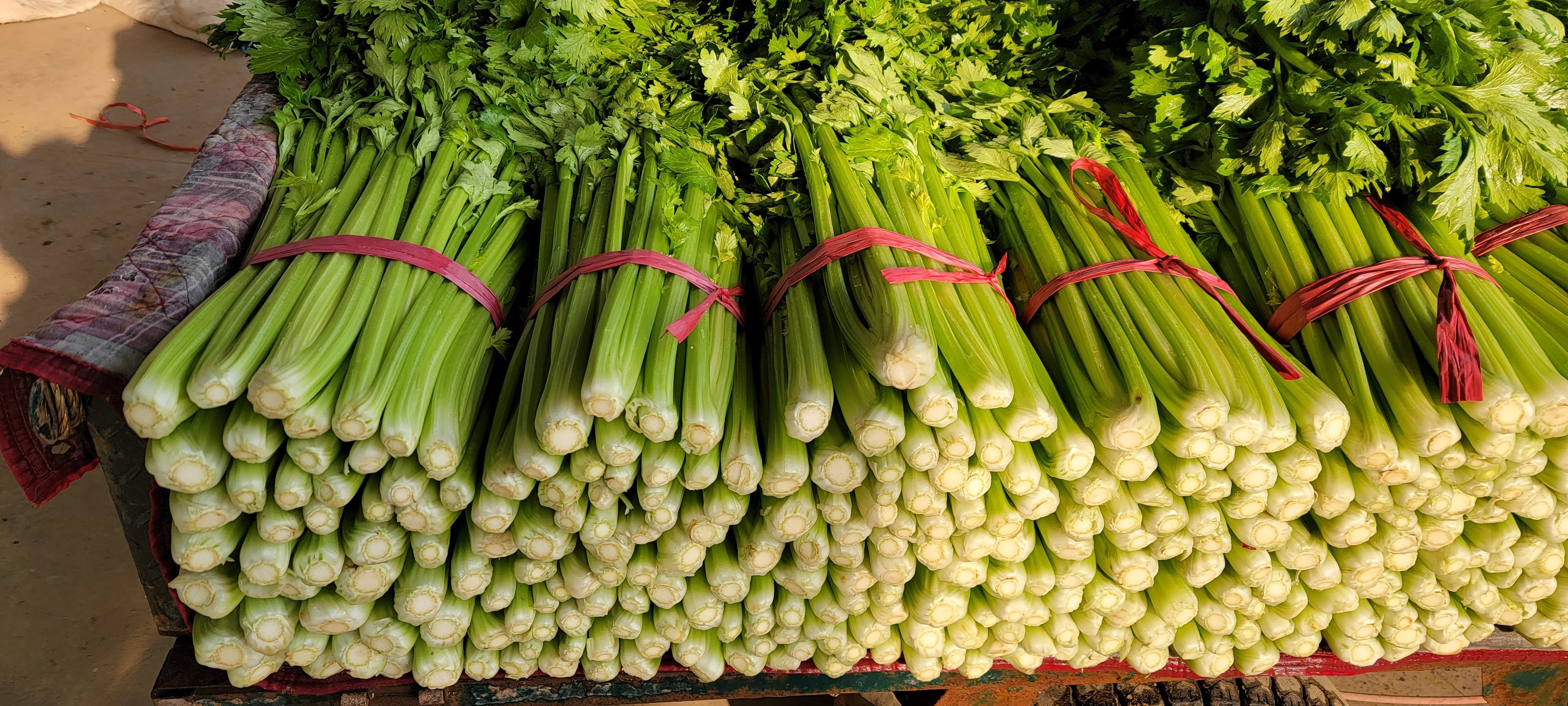 芹菜批發(fā)市場動態(tài) 高品質(zhì)新鮮蔬菜的供需解析