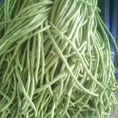 三重天 揭秘豇豆批發市場中的新鮮蔬菜流通法則