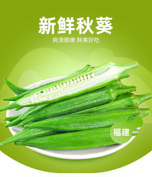 新鮮現(xiàn)摘秋葵 5斤當(dāng)季黃秋葵的批發(fā)與美食魅力