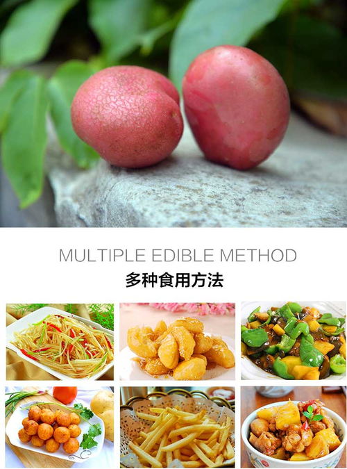 農(nóng)家自種紅皮洋芋 源自云南的天然美味，10斤裝新鮮包郵批發(fā)