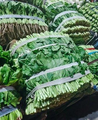 厚街蔬菜配送公司 打造新鮮蔬菜批發(fā)新標(biāo)桿