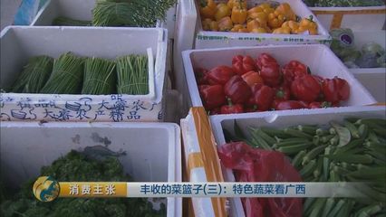 探秘廣西 百斤冬瓜、西瓜樣木瓜，這些特色蔬菜你嘗過嗎？