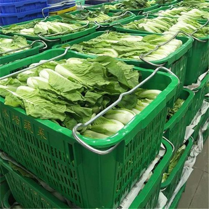 觀瀾蔬菜配送 新鮮直達(dá)，健康餐桌的堅實(shí)后盾